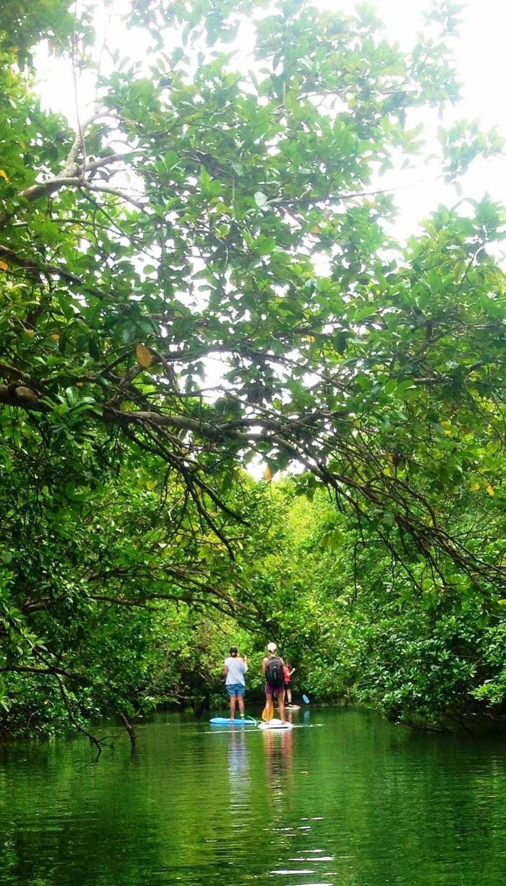 Naveria Heights Lodge Savusavu Esterno foto